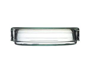 【2025年最新版】文京区で受けられる大腸内視鏡検査の完全ガイドと最適な対策