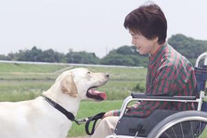 2025年最新版！堺市の整形外科クリニック徹底ガイド：選び方とおすすめポイント