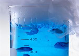 岐阜市で見つかる！安心・快適な入れ歯治療と信頼の歯科クリニックガイド