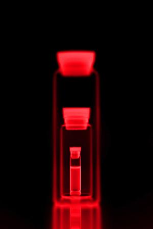 新富町の歯医者完全ガイド2026｜口コミ評判と選び方のポイント